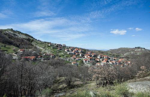 Acorn's Houses, Gray and Green Acorn - Foto 29