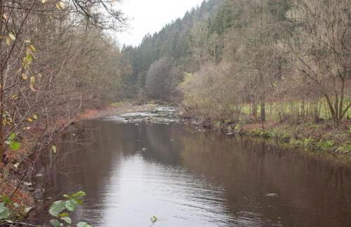 Mountain Bliss in Borstendorf - Foto 29