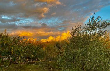 Lovrini Dvori - Photo 18