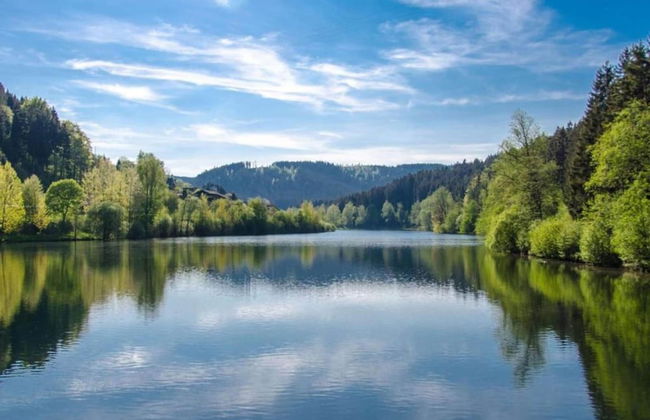 Spa Apartment at Parkblick - Foto 32