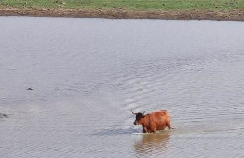 Alquiler Casita en Facinas - Foto 27