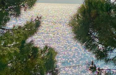 Apartment mit Meerblick am Strand Costa Azzura - Foto 39