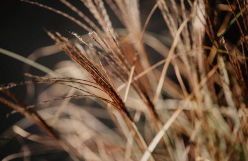 Rheinzeit-Weisweil - Foto 34