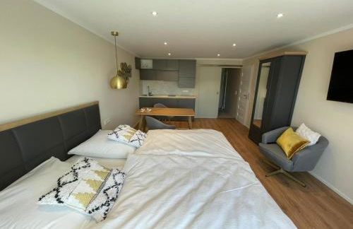 Stadtvilla Apartments Ferienwohnungen Weinsberg - Foto 70