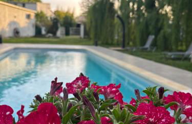 Gîtes Terra di a Bravona - Foto 40