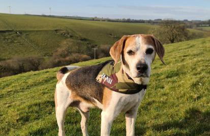 Ta Mill Cottages & Lodges - Millers Cottage - Foto 15