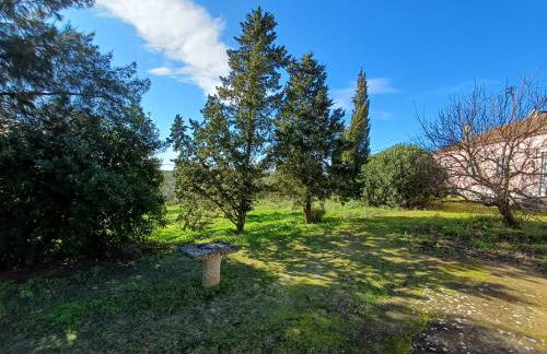 Quinta do Minhoto, Charming country House close to Golegã - Foto 8