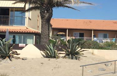 Les vagues du Sud - Photo 14