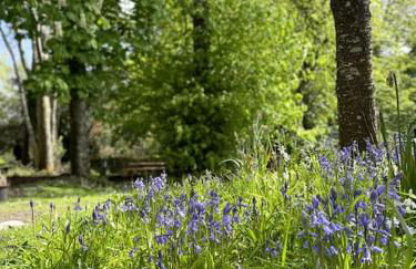 Dark Sky Retreat Perfect to Gather and Celebrate! - Foto 47