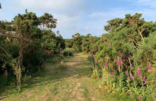 Agua de Plata, 16 Wakeling Island, Silverlake - Photo 29