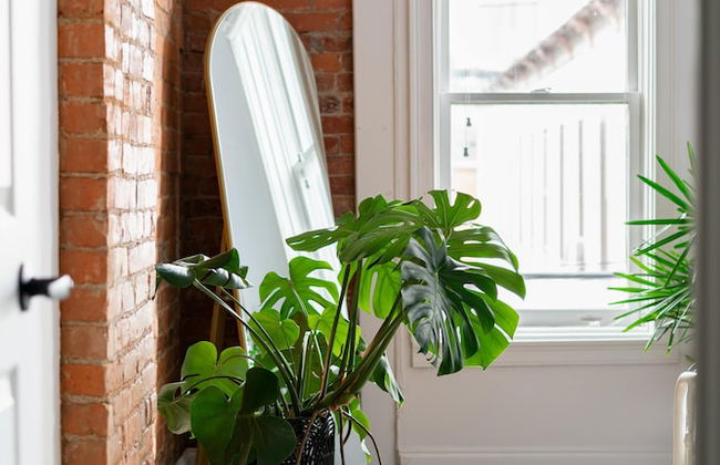 Downtown Short North Free Parking Convention Ctr - Foto 20