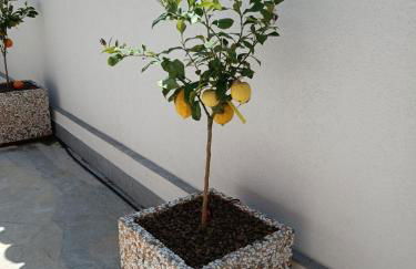 Clio's House - Mondello - Foto 35