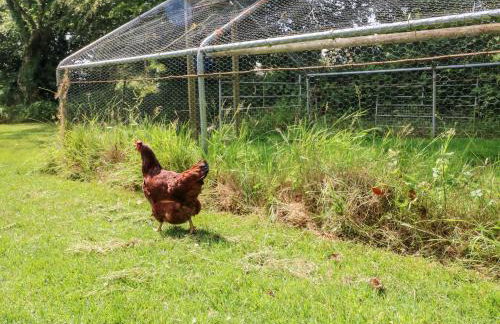 The Old Forge Cottage - Foto 20