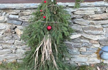 Agroturystyka Monte Luna - domki - Foto 6