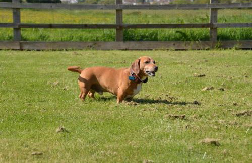 1 Bed in Taunton oc-74145 - Foto 30