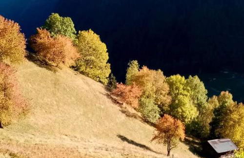 Cevedale-Valdisole - Foto 36