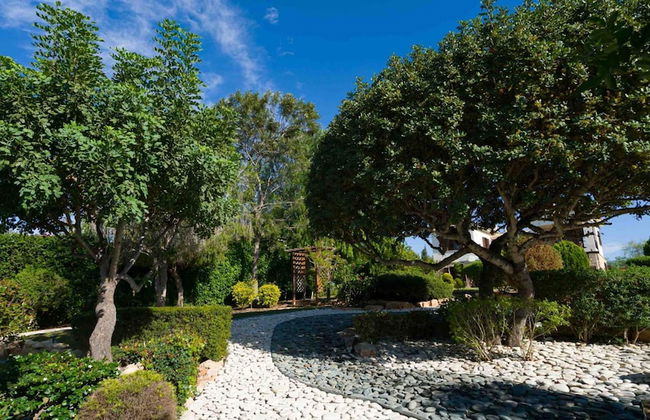 Villa 64 - Anarita in Kouklia - Photo 16