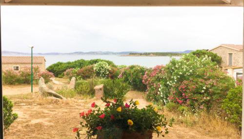 Lovely Beach House - Photo 2, Garden, Garden view