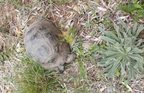 Nafplio, hill with an amazing view - Foto 27