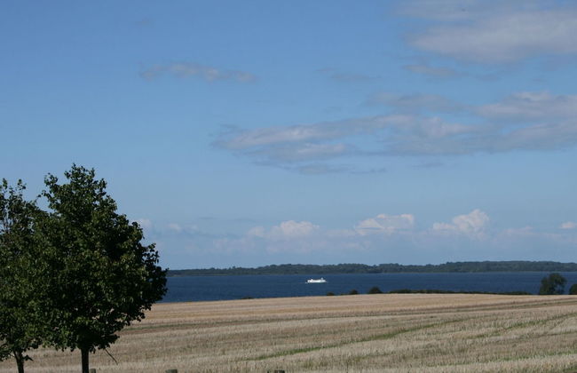Bungalow in Tessmannsdorf Nahe Salzhaff - Foto 21