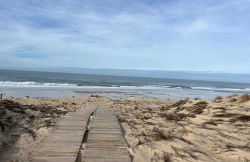 Résidence Les Grands Pins - T2 avec piscine - Foto 14