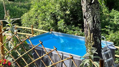 THE DORMOUSE - Il Ghiro - Foto 3