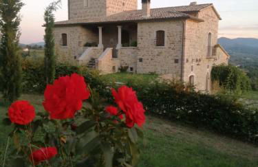 Agriturismo Torre Gialluise - Photo 26