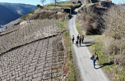 Knabbüüß - Foto 31