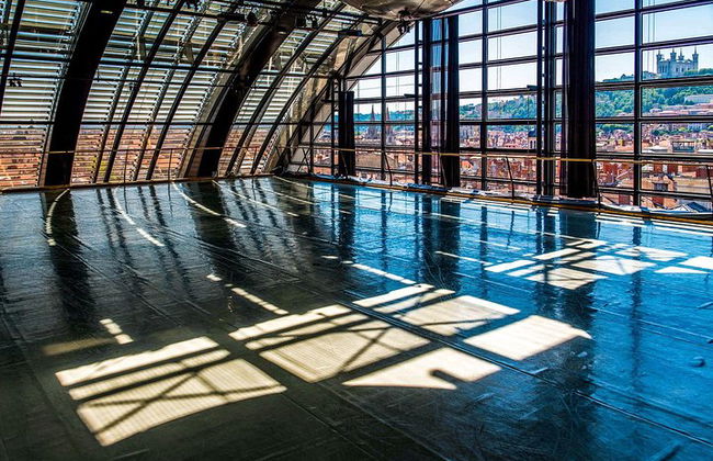 Explore el arte y la cultura de Lyon con un local - Foto 6