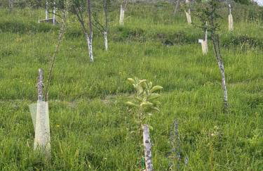 Villa Canolle - Photo 47