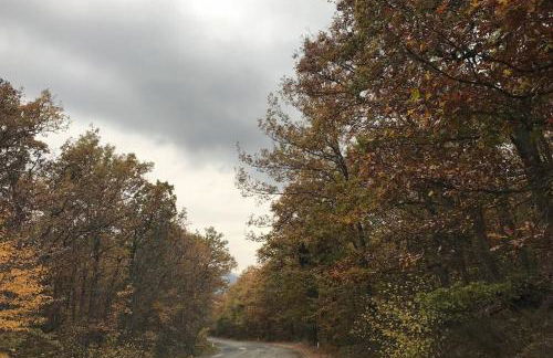 Rifugio del Gran Sasso - Foto 50