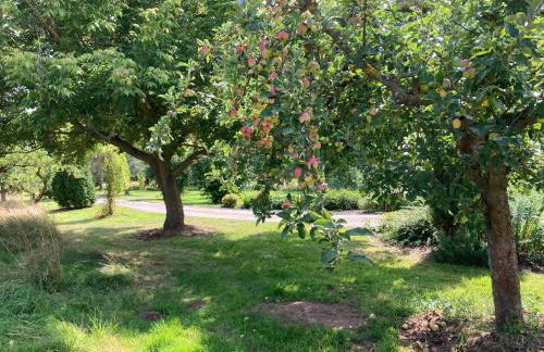 Ferienwohnung Schöne Aussicht Pension Volgenandt - Foto 22
