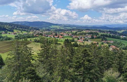 Ferienland Sonnenwald Studio 50 - Foto 30