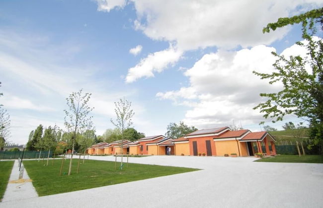 Lucciole nella nebbia - Foto 35