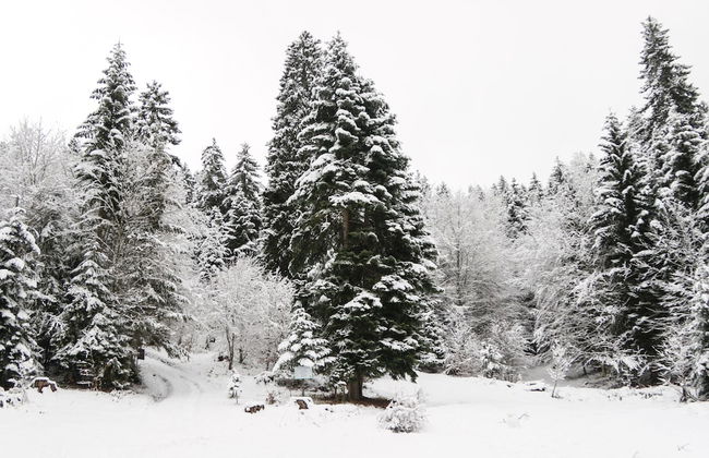 Villa Mtashi - Foto 15