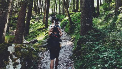 Bienenstock - Foto 5