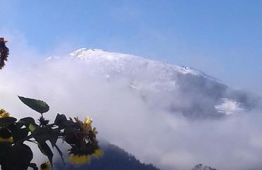 Ferienwohnungen Mooshäusl - Foto 43