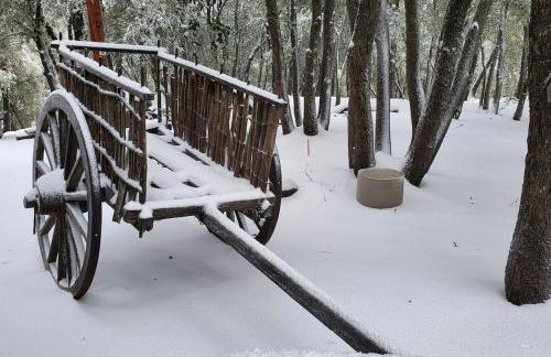 Pine Hills Cabin in Julian - Foto 32