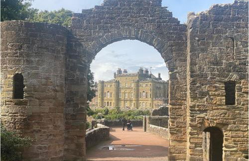 The Wee Sprout - Foto 27