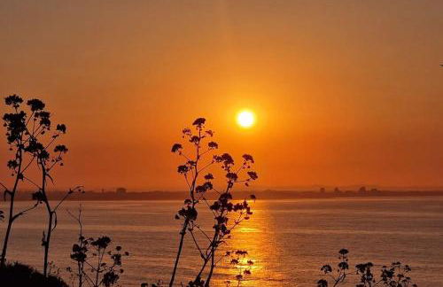 Jasmine apartment next to Meia Praia Beach - Foto 11