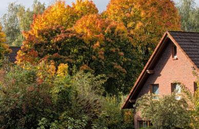 Wandern und Radeln im wunderschönen Teutoburger Wald - Natur Ferienpark 4 - Photo 20