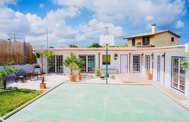 João Jungle - Foto 6