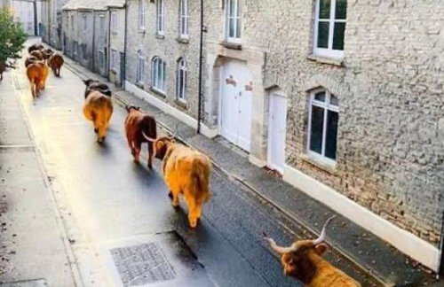 Charming Cotswold cottage with stunning views - Foto 27