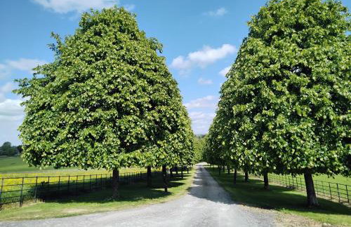 Shepard's Delight - Foto 22