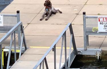 House on the WATER Lake of the Ozarks MO BIG DECK Swim Dock - Foto 32