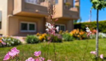 Casa Verde Houses - Photo 4, Garden, Garden view