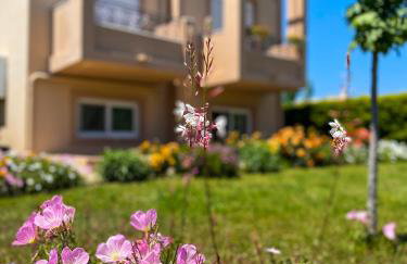 Casa Verde Houses - Photo 4