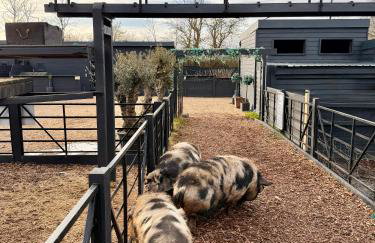 Willow Court Farm, The Copper Castle & Petting Farm, 8 min to Legoland & Windsor, 15 min to Lapland UK - Foto 25