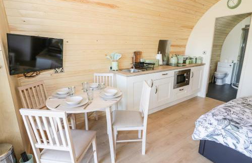 Ailsa Craig - Photo 7