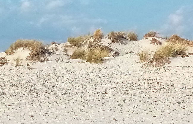 Sardinian Villa Enjoy Stintino With Your Pets ! - Photo 9